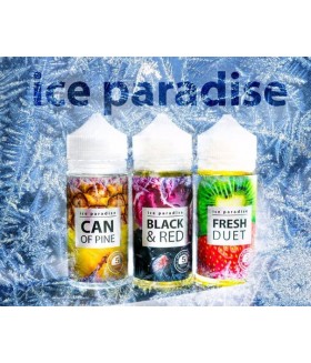 Жидкость Ice Paradise 100ml