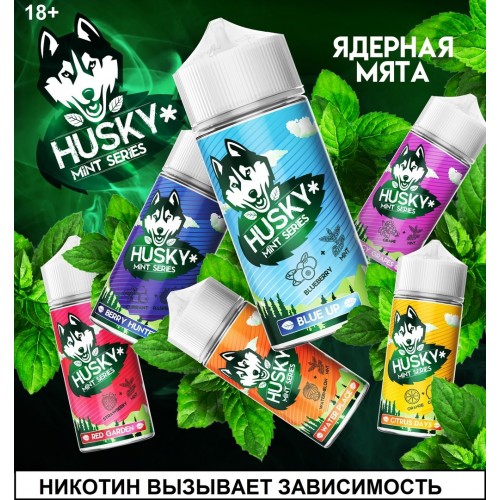 Жидкость Husky Mint Series Salt 30ml